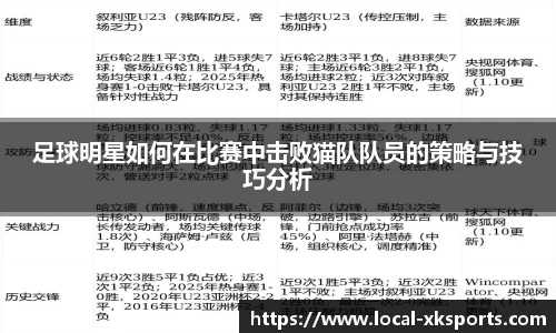 足球明星如何在比赛中击败猫队队员的策略与技巧分析